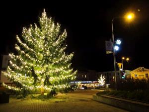 Praznični Tolmin 2018 (4) (Foto Špela Kranjc)-1800